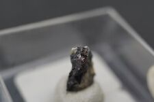 niederfischbach gebraucht kaufen  Deutschland