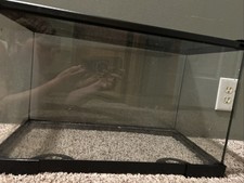 Gallon lizard fish for sale  Cedar Springs