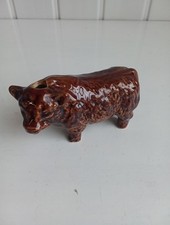 Highland bull miniature for sale  SOUTHPORT