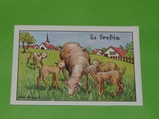 Chromo 1960 1970 d'occasion Chromo 1960 1970 d'occasion  Vendat