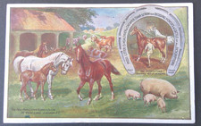 Advertising postcard superior for sale  LONDON