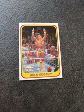 hulk hogan usato hulk hogan usato Sassari