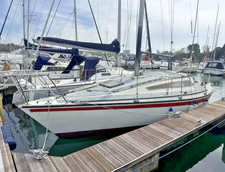 Colvic salty dog for sale  SOUTHAMPTON