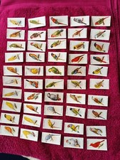 Players aviary cage for sale  SOUTHEND-ON-SEA