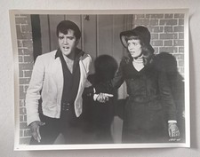 Lote de 19 alambiques originais DOUBLE PROBLEM (1967) 8x10 ELVIS PRESLEY ANNETTE DAY * comprar usado Lote de 19 alambiques originais DOUBLE PROBLEM (1967) 8x10 ELVIS PRESLEY ANNETTE DAY * comprar usado  Enviando para Brazil