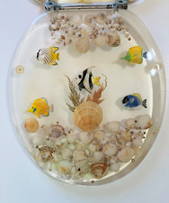 Marine seashells fish for sale  Stuart