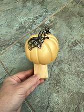 Pumpkin wallflower plug for sale  Leola