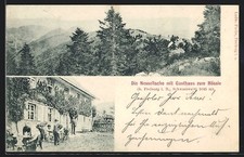 Breitnau nessellache gasthaus gebraucht kaufen  Berlin