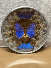 Superbe assiette déco d'occasion  Nîmes