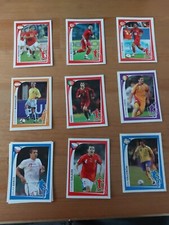 Panini euro 2008 for sale  ELLESMERE PORT