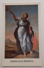 Santino san elia usato  Italia