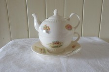 Aynsley edwardian kitchen for sale  TURRIFF
