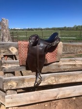 Syd hill australian for sale  Dolores