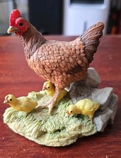 Tom mackie chicken for sale  HIGH WYCOMBE