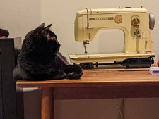 Bernina 740 favorit for sale  Chicago