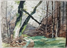 Aquarelle sentier bois d'occasion  Sète