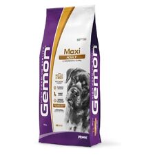 Gemon dog maxi usato  Manduria