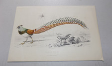 1849 antique bird for sale  Monroeville