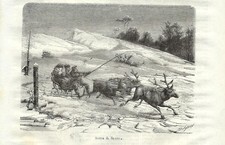 Stampa antica slitta usato  Lecco