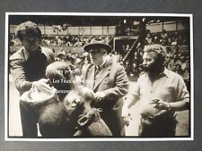 Cassel joseph bouglione d'occasion  Beaumont-de-Lomagne