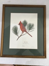 Rare ray harm for sale  Louisville
