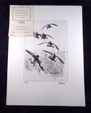 Vintage print richard for sale  Burnsville