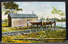 Postcard vintage canoe for sale  Zephyrhills