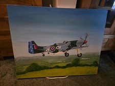New zealand mustang for sale  EASTBOURNE