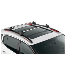 dachgepacktrager citroen gebraucht kaufen dachgepacktrager citroen gebraucht kaufen  Liederbach