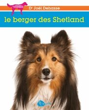 Berger shetland d'occasion  France