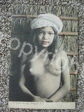 Benguet year old for sale  USA