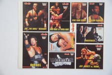 Wwf wrestling 1994 gebraucht kaufen  Hemau