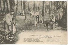 Carte postale ile d'occasion  Toulon-