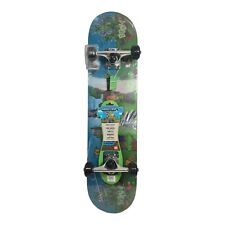 Minecraft skateboard cruiser for sale  Warren
