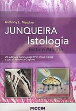 Testo universitario a.l. usato  Milano