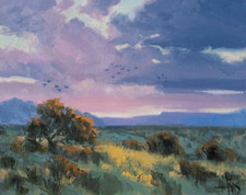 Tom haas painting for sale  Sierra Vista