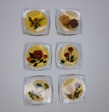 Acrylic coasters dried for sale  Greenville