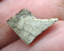 Nwa 12338 achondrite for sale  Hebron