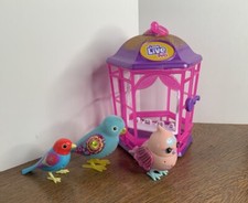 little live pets bird for sale little live pets bird for sale Monument