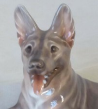 German shepherd dog for sale German shepherd dog for sale  GAINSBOROUGH