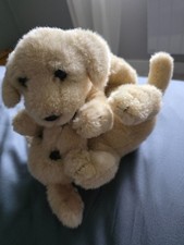 Chiens chiots labrador d'occasion  Bouilly
