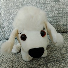 Tesco poodle puppy for sale  ROMNEY MARSH