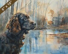 Boykin spaniel watercolor for sale  Beltsville