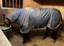 Horseware rambo duo for sale  TROWBRIDGE
