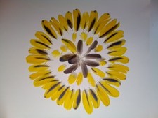 Yellow parrot feathers for sale  Palomar Mountain