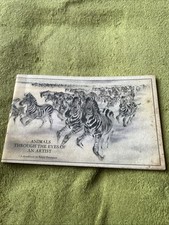 Animals eyes artist for sale  THETFORD