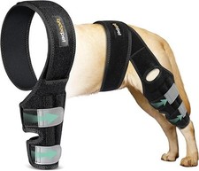 Lyderpet dog knee for sale  Raleigh