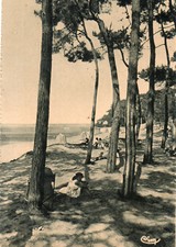 Ile oleron bords d'occasion  Guewenheim