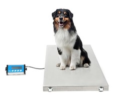 Vivacomfort veterinary dog for sale  San Francisco