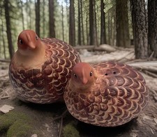 Vintage quail pheasant for sale  Frankfort